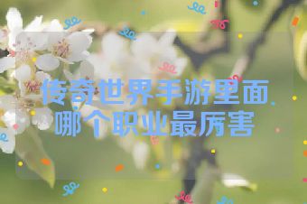 传奇世界手游里面哪个职业最厉害