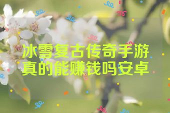 冰雪复古传奇手游真的能赚钱吗安卓