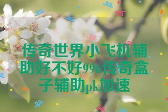 传奇世界小飞机辅助好不好996传奇盒子辅助pk加速