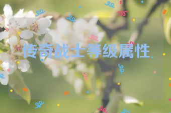 传奇战士等级属性