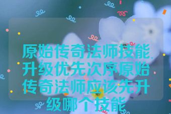 原始传奇法师技能升级优先次序原始传奇法师应该先升级哪个技能