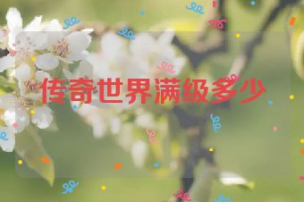 传奇世界满级多少