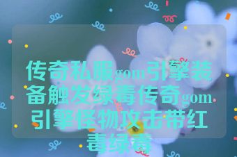 传奇私服gom引擎装备触发绿毒传奇gom引擎怪物攻击带红毒绿毒