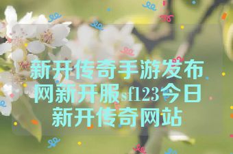 新开传奇手游发布网新开服sf123今日新开传奇网站