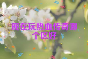 现在玩热血传奇哪个区好