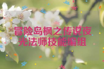 冒险岛枫之传说夜光法师技能编组
