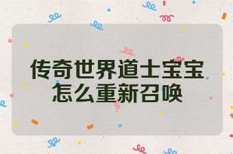 传奇世界道士宝宝怎么重新召唤
