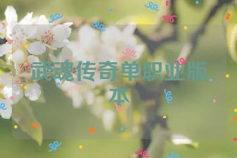 武魂传奇单职业版本
