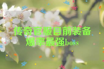传奇官服目前装备爆率最强boss