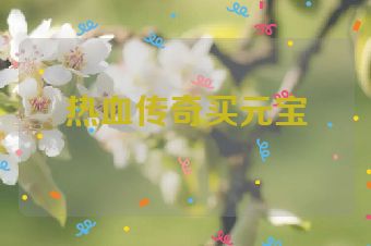 热血传奇买元宝