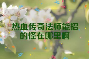 热血传奇法师能招的怪在哪里啊