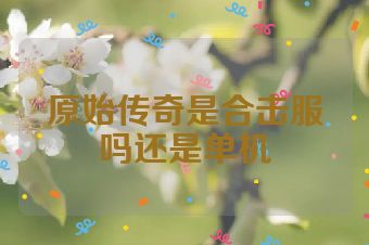 原始传奇是合击服吗还是单机