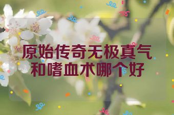 原始传奇无极真气和嗜血术哪个好