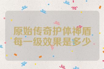 原始传奇护体神盾每一级效果是多少