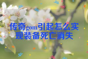 传奇gom引起怎么实现装备死亡消失