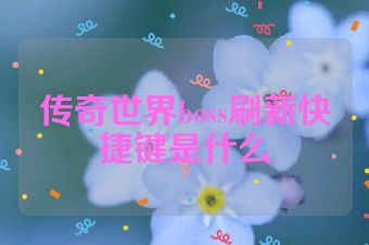 传奇世界boss刷新快捷键是什么
