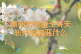 原始传奇战士开天斩升级需要什么