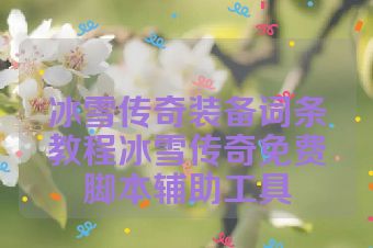 冰雪传奇装备词条教程冰雪传奇免费脚本辅助工具