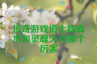 传奇游戏道士嗜血术和灵魂火符哪个厉害
