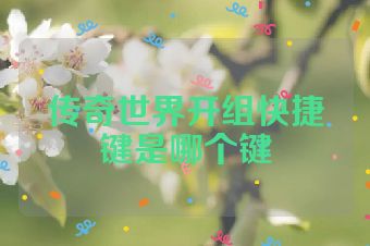 传奇世界开组快捷键是哪个键