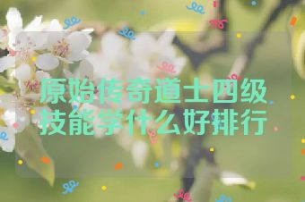 原始传奇道士四级技能学什么好排行