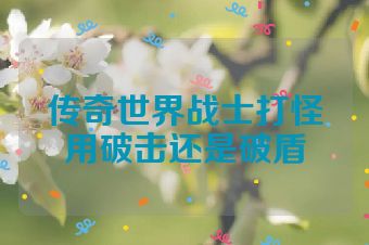 传奇世界战士打怪用破击还是破盾