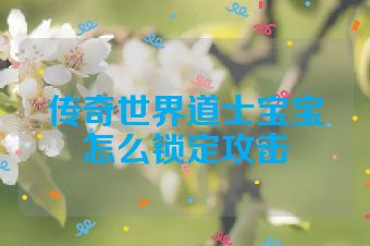 传奇世界道士宝宝怎么锁定攻击