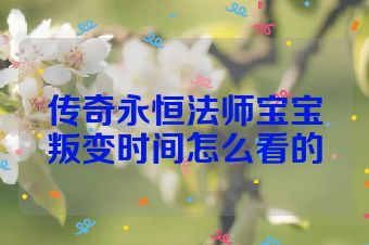 传奇永恒法师宝宝叛变时间怎么看的