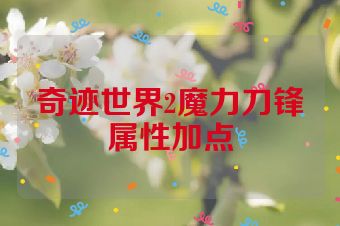 奇迹世界2魔力刀锋属性加点