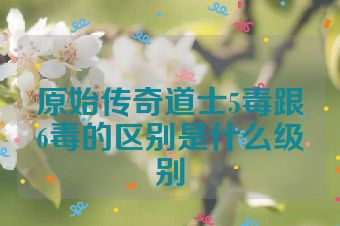 原始传奇道士5毒跟6毒的区别是什么级别