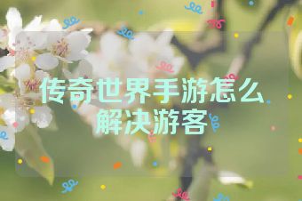传奇世界手游怎么解决游客