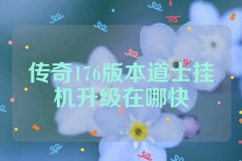 传奇176版本道士挂机升级在哪快