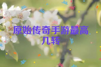 原始传奇手游最高几转