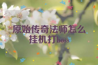 原始传奇法师怎么挂机打boss