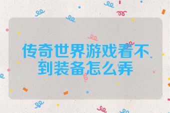 传奇世界游戏看不到装备怎么弄