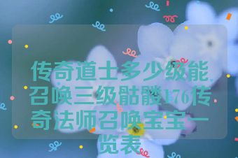 传奇道士多少级能召唤三级骷髅176传奇法师召唤宝宝一览表