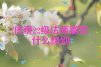 传奇22级法师能招什么级别
