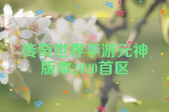 传奇世界手游元神版本2020首区