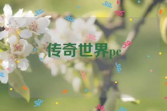 传奇世界pc