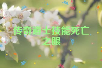 传奇道士技能死亡之眼