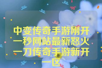 中变传奇手游刚开一秒网站最新怒火一刀传奇手游新开一区