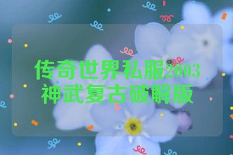 传奇世界私服2003神武复古破解版
