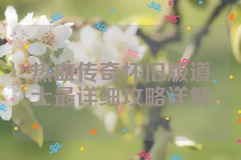 热血传奇怀旧版道士最详细攻略详解