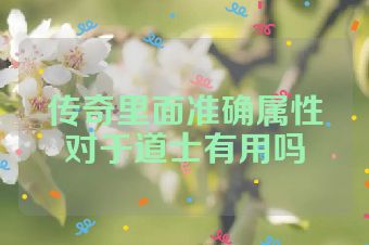 传奇里面准确属性对于道士有用吗