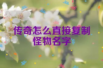传奇怎么直接复制怪物名字