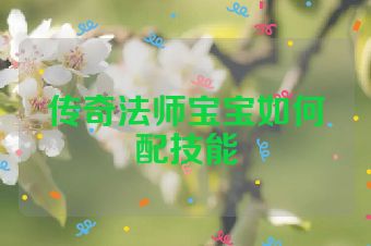 传奇法师宝宝如何配技能
