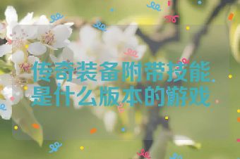 传奇装备附带技能是什么版本的游戏