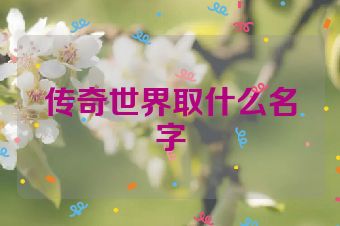 传奇世界取什么名字