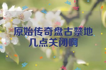 原始传奇盘古禁地几点关闭啊