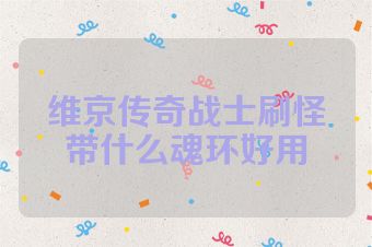 维京传奇战士刷怪带什么魂环好用